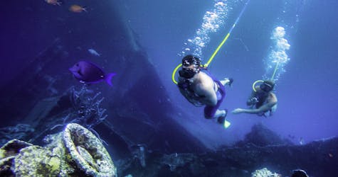 Snuba e mergulho com snorkel em Aruba